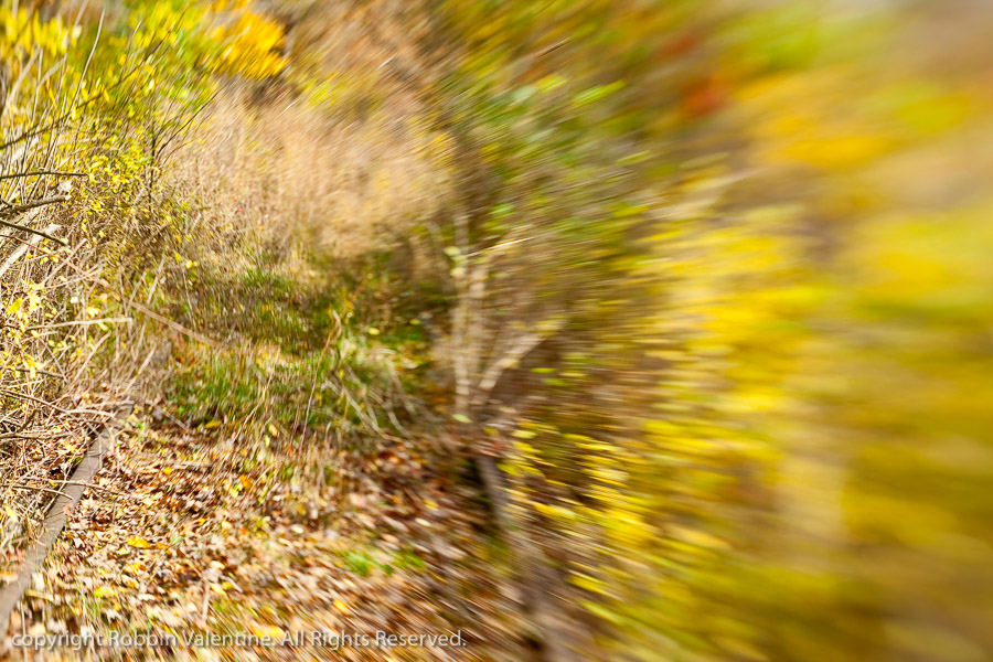 cuyahoga valley, Ohio & Erie Canal, STanford Rd